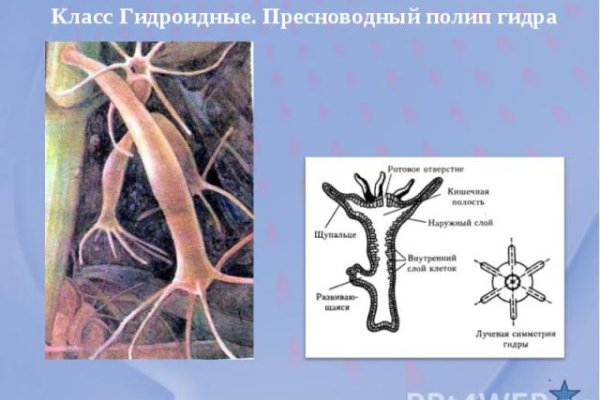 Кракен ссылка на сайт тор