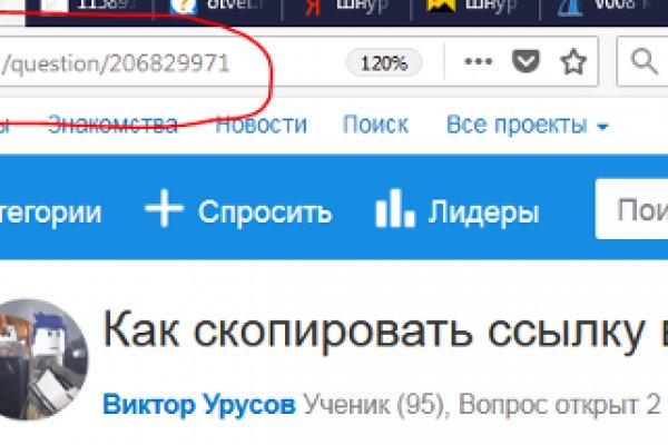 Darknet как войти