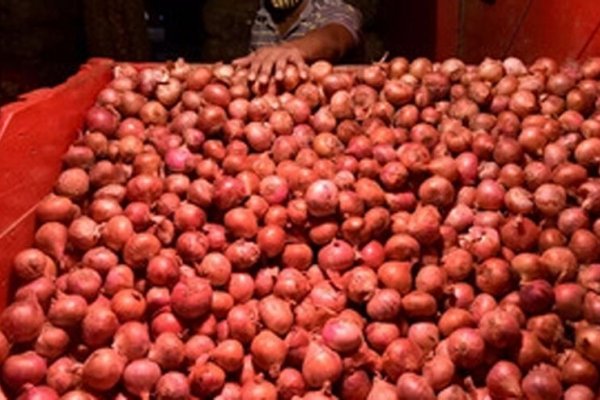 Где найти ссылку на кракен